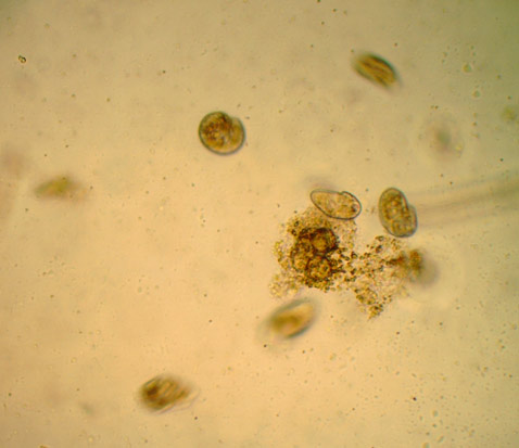 R4110049W.jpg