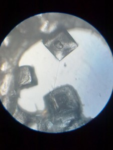 Высохшая капля воды, в которой была растворена поваренная соль. 84х (2).jpg