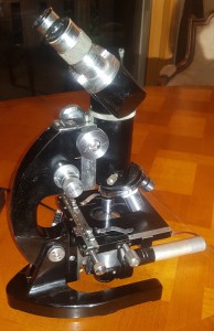 20210916_221126.jpg