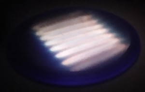 filapro1.jpg