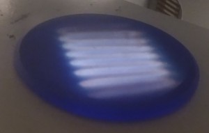 filapro2.jpg