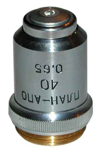 papo-40x0,65.jpg