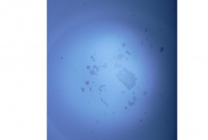 Screenshot_2.jpg