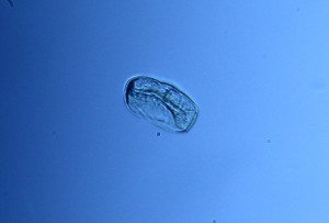 IMG_0011.JPG