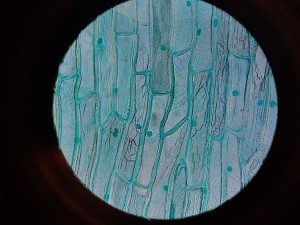20220209_193108 (2).jpg