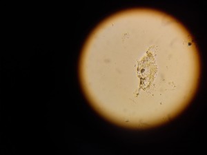 20220318_124101.jpg