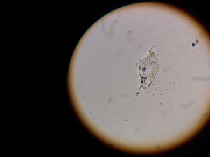 20220318_131733.jpg