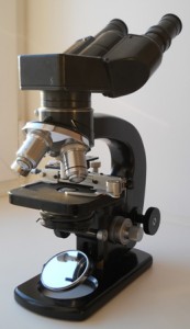 DSCN5535.JPG
