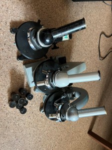 IMG_2805.jpg