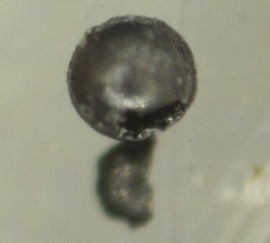 _MG_6414.JPG