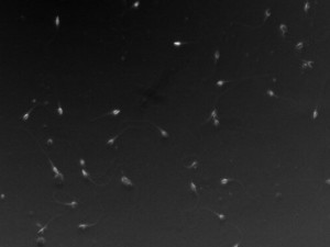 AA6D6C49-E7F5-4060-AFCF-04B5B03421AE.jpeg