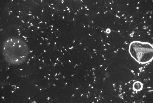 651D4084-BA72-47EE-91AD-3125085B2986.jpeg