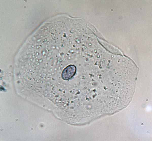 mic-21.jpg