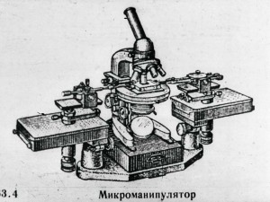 1539595086_04.jpg