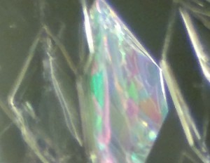 2013-01-12-488_4.jpg