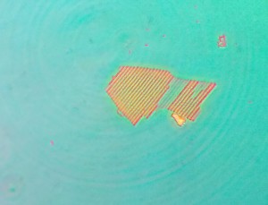IMG_20221025_011230_4.jpg