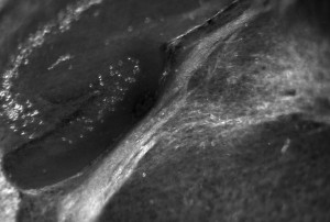 16939A46-269C-47FD-8652-21510D46F3D4.jpeg