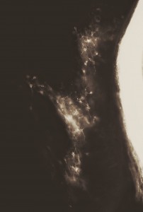56B98172-3182-41BF-B25A-51AF7B27BF34.jpeg