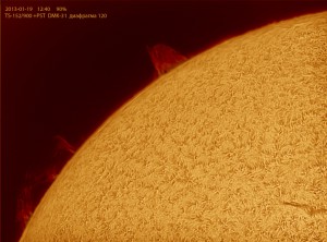 Ha-0003-13-01-19-12-39-10_AI.jpg