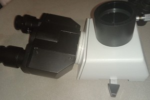 mfn-11-1.jpg