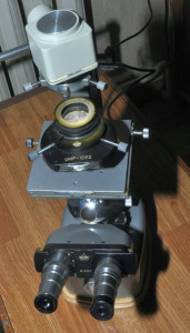 DSC_1581.JPG
