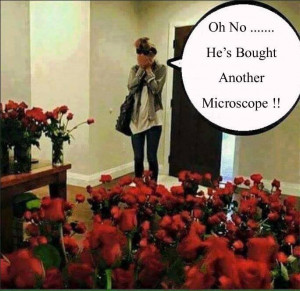 micro3.jpg
