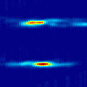 39.gif