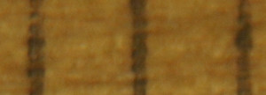 DSC06540_crop0.JPG