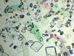 2013-02-04-535_3.jpg