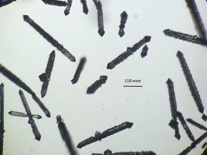2013-02-15-557_5.jpg