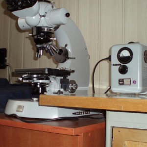 P1010002-1.jpg