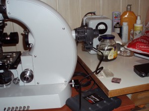 P1010006.JPG