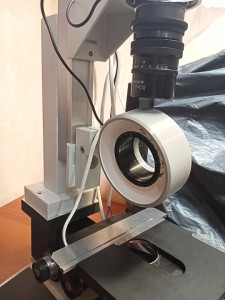 IMG20240919175325.jpg