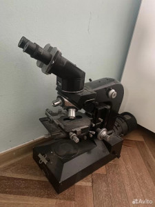 mbi-11-1.jpg