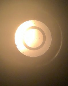 IMG_0250.jpeg