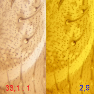 40х0.65-135мм.jpg