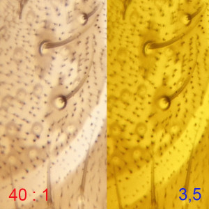 40х0.65-163мм.jpg
