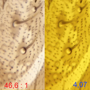 40х0.65-190мм.jpg