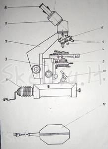 mikroskopas-241604709.jpg