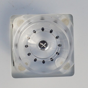 DSC02042_crop.JPG