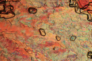 0R1A2448_1.jpg