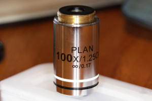 100 TB5C9618.jpg