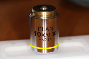 10 TB5C9596.jpg