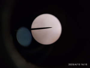 IMG_20250413_161558.jpg