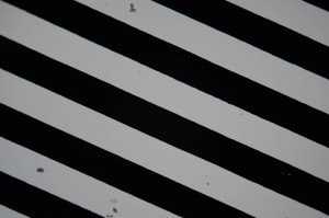 F200_12.5x.jpg