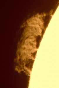 5.gif