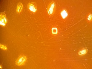 2013-03-18-654_3.jpg