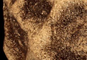 изображение_2025-08-28_211521484 (1) (1) (2).png