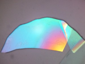 2013-03-21-659_3.jpg