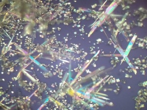 2013-03-23-698_3.jpg